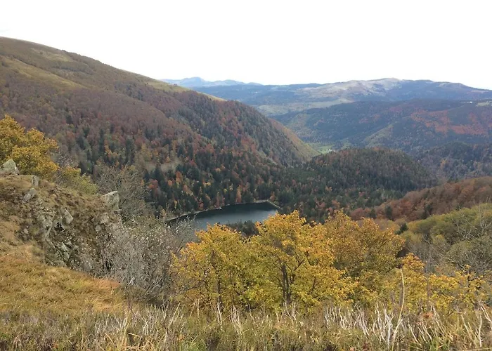 Chalet 10 Pers Sauna & Spa La Taniere Des Vosges