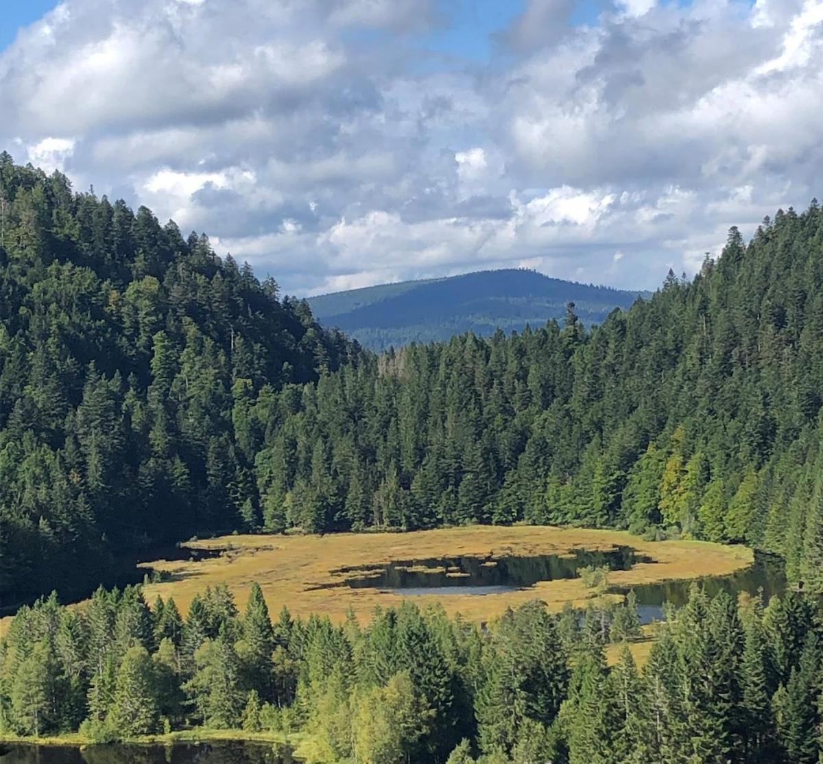 10 Pers Sauna & La Taniere Des Vosges Chalet