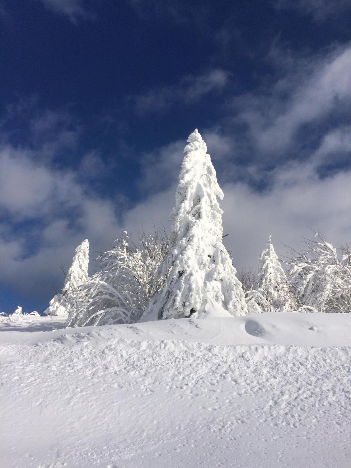 10 Pers Sauna & La Taniere Des Vosges La Bresse