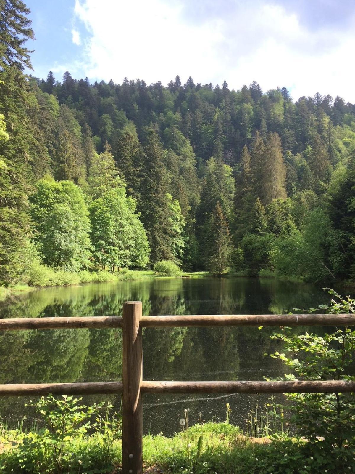 Chalet 10 Pers Sauna & La Taniere Des Vosges *