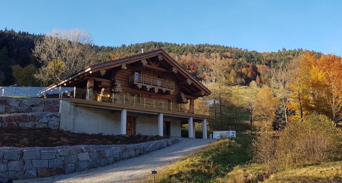 Chalet 10 Pers Sauna & La Taniere Des Vosges La Bresse