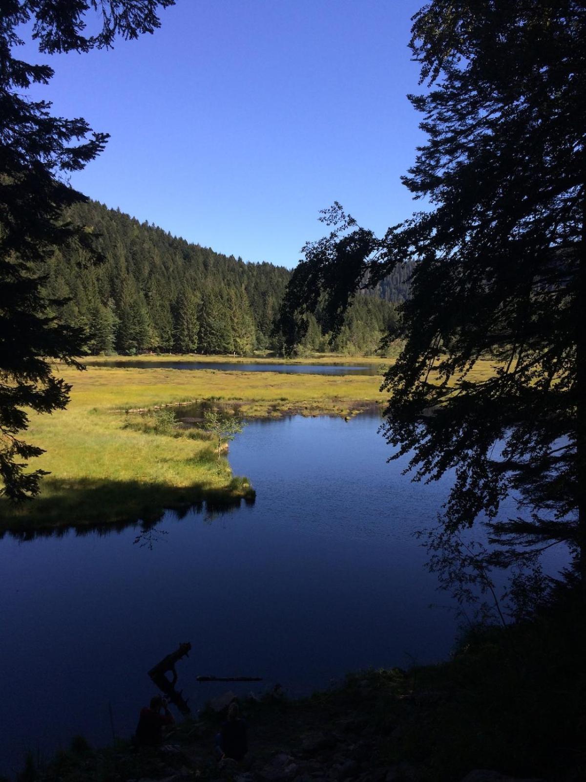 10 Pers Sauna & La Taniere Des Vosges La Bresse
