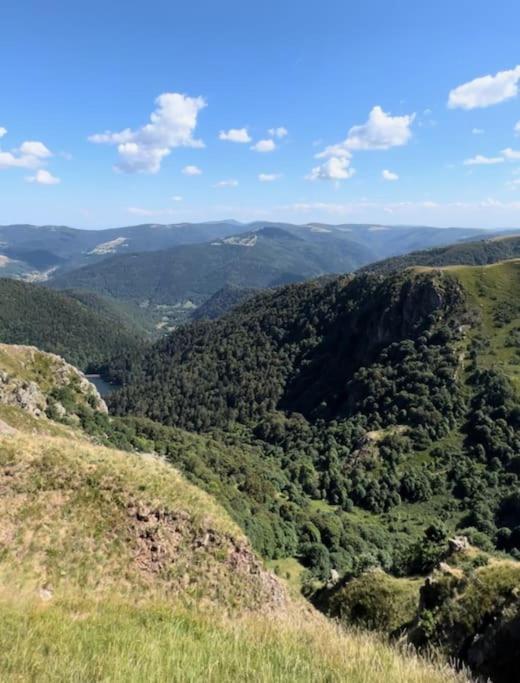 10 Pers Sauna & La Taniere Des Vosges Chalet