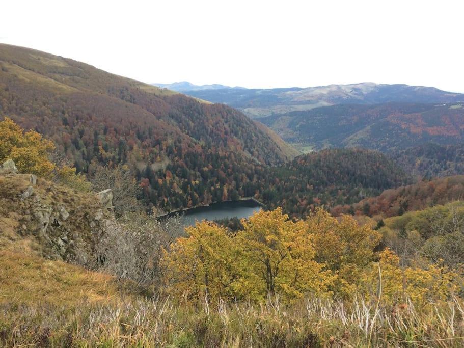 10 Pers Sauna & La Taniere Des Vosges Chalet La Bresse
